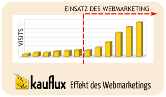 Kauflux Zugriffs-Entwicklung mit Webmarketing